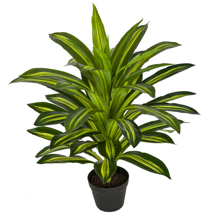 dracaena soft stem 30" Soft-Touch Dracaena Silk Plant w/Pot -2 Tone Green — Silks Are Forever