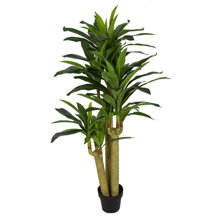 dracaena trunk 5' Soft-Touch Triple Trunk Dracaena Corn Plant Silk Tree w/Pot -Green