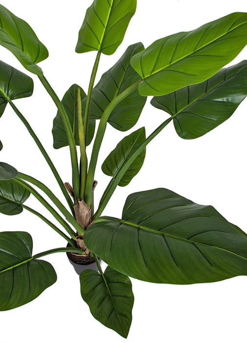 5' Philodendron Leaf Silk Plant w/Plastic Pot -Green - P-184170