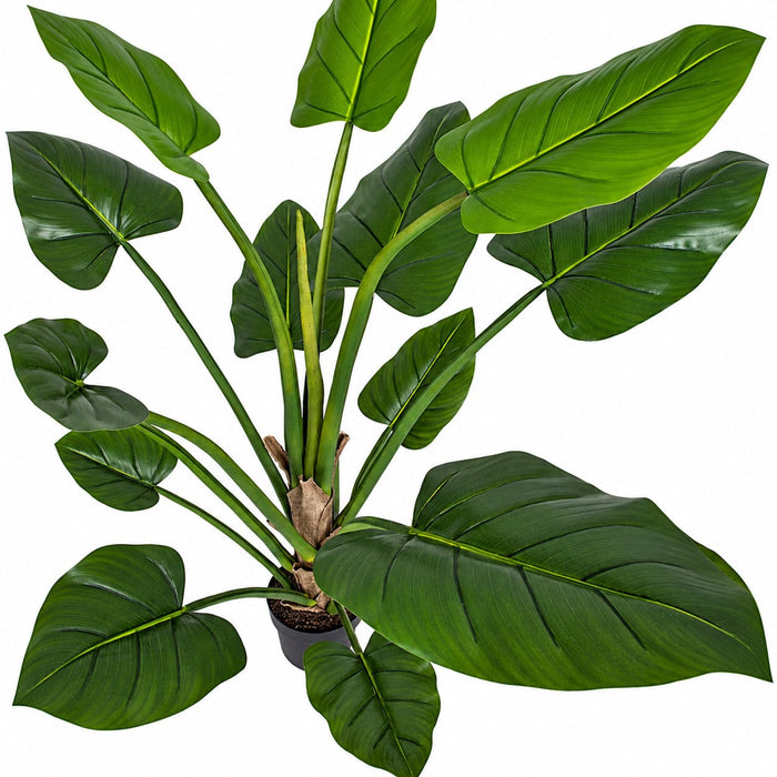 5' Bird of Paradise Silk Plant w/Plastic Pot -Green - P-184170