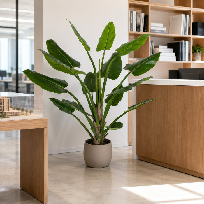 5' Bird of Paradise Silk Plant w/Plastic Pot -Green - P-184170