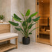 5' Bird of Paradise Silk Plant w/Plastic Pot -Green - P-184170