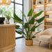 5' Bird of Paradise Silk Plant w/Plastic Pot -Green - P-184170
