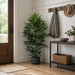 5' Soft-Touch Silk Bella Parlor Palm Tree w/Pot -Green (Pack of 2) - P-184180