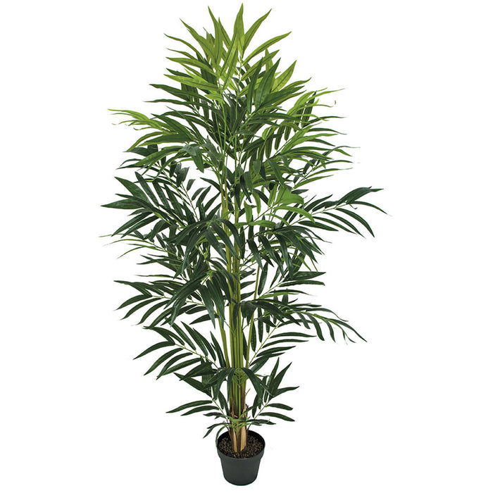 5' Soft-Touch Silk Bella Parlor Palm Tree w/Pot -Green (Pack of 2) - P-184180