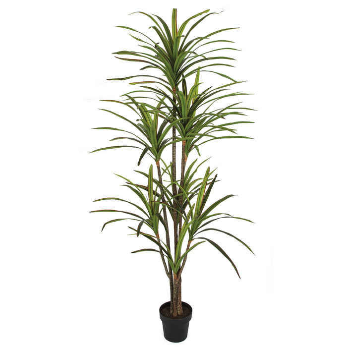 corn stalk dracaena silk plant 6'6" Soft-Touch Dracaena Silk Tree w/Pot -Green/Red — Silks Are Forever