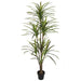 6'6" Real Touch Dracaena Silk Tree w/Pot -Green/Red - P184190