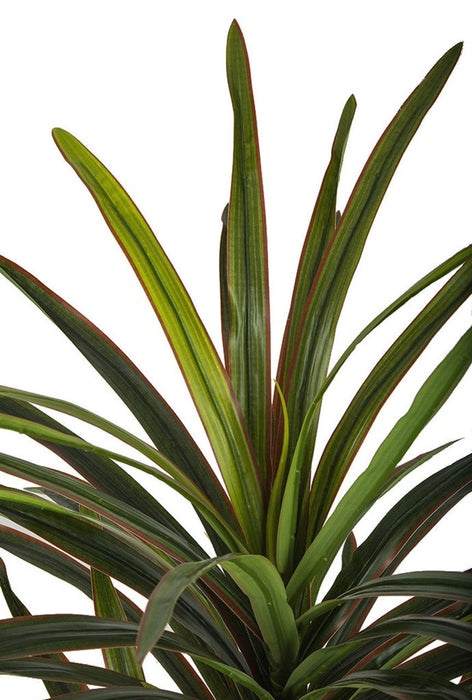 4'6" Soft-Touch Dracaena Silk Tree w/Pot -Green/Red - P184200