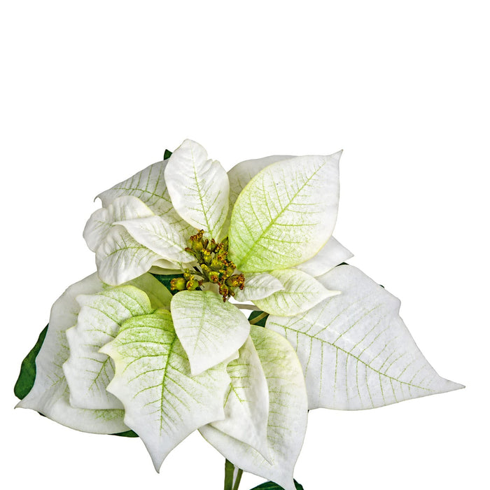 28" Artificial Holiday Velvet Poinsettia Flower Stem -Cream (Pack of 12) - P190415