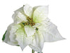 28" Artificial Holiday Velvet Poinsettia Flower Stem -Cream (pack of 12) - P190415
