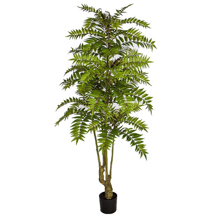 mahogany house plant 6'6" Silk Chinese Mahogany Tree w/Pot -Green