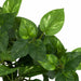 14" Hanging Pothos Silk Plant -Green/Cream (pack of 12) - P190490