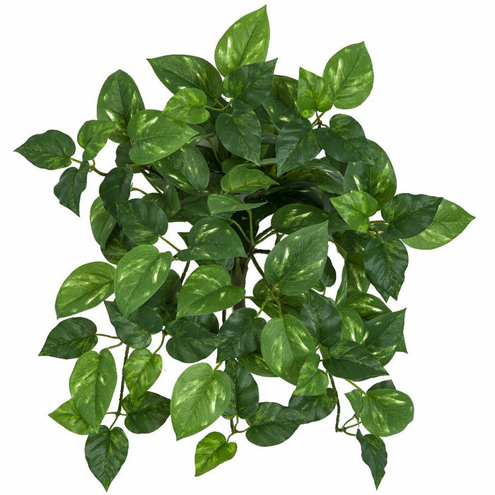 14" Hanging Pothos Silk Plant -Green/Cream (pack of 12) - P190490