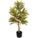 36" Soft-Touch Croton Silk Plant w/Pot -Green/Yellow (Pack of 2) - P190910