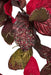 36" Metallic Sequined Artificial Magnolia Leaf Stem -Burgundy/Red (pack of 12) - P191132