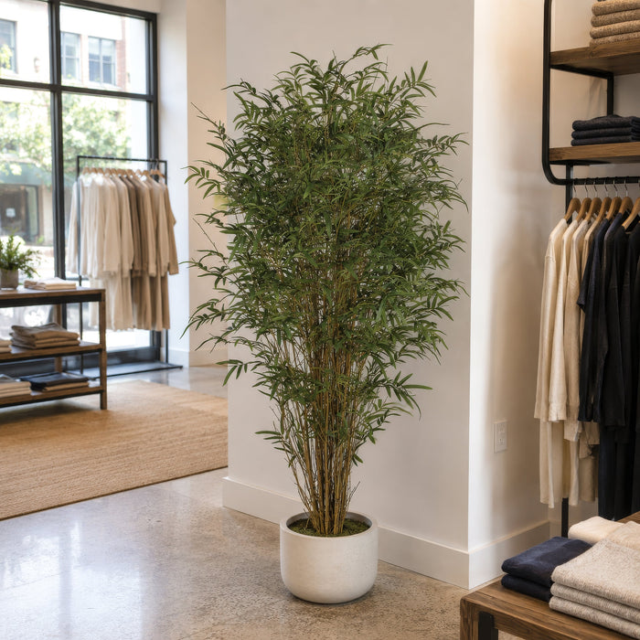 6' Natural Cane Reed Bamboo Silk Palm Tree w/Pot -Green - P191370
