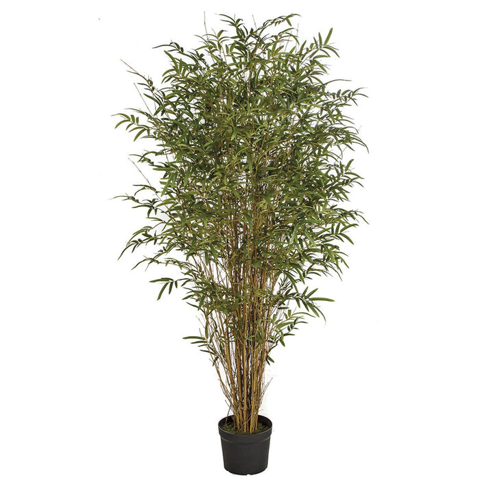 reed palm plant 6' Natural Cane Reed Bamboo Silk Palm Tree w/Pot -Green