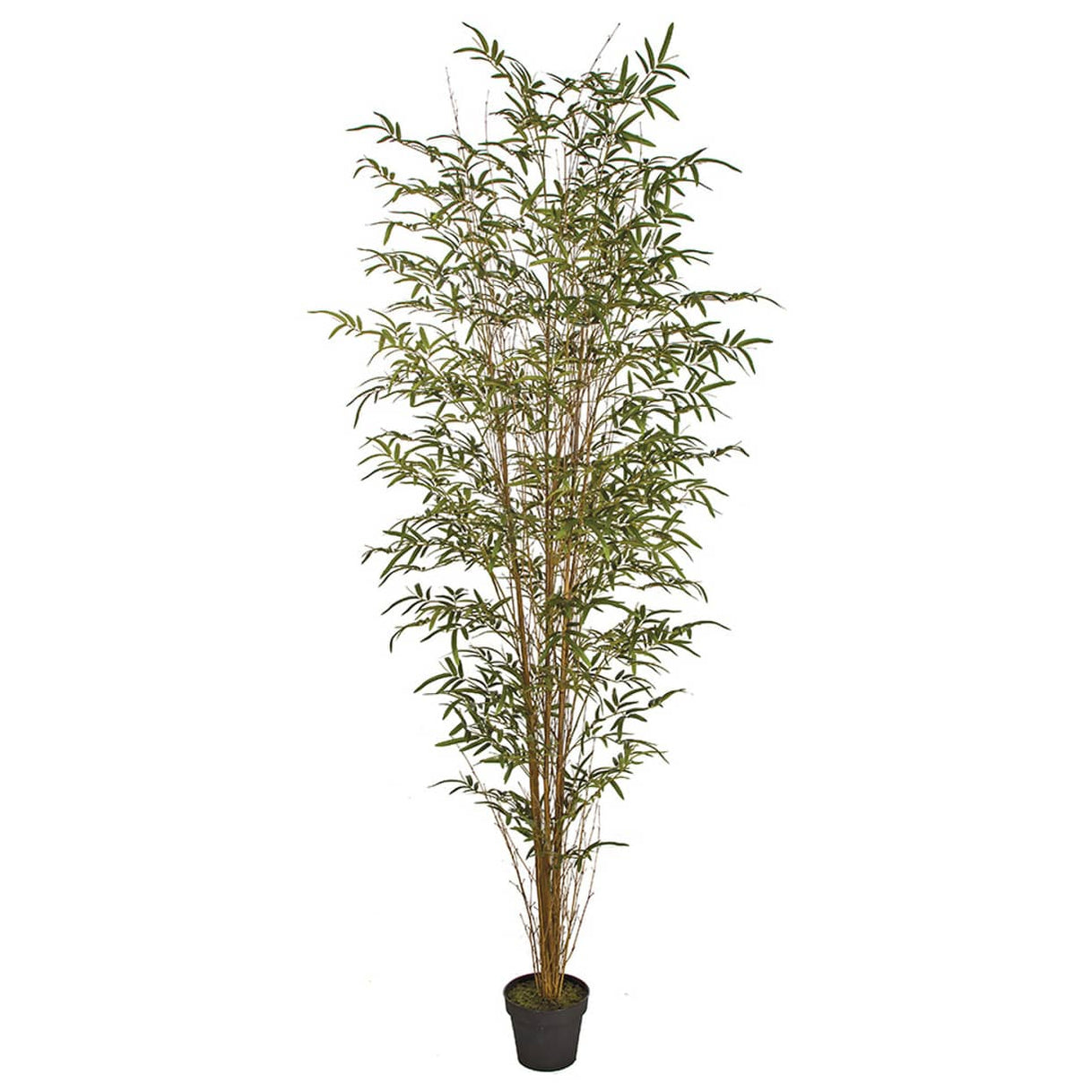 7' Natural Cane Reed Bamboo Silk Palm Tree w/Pot -Green — Silks Are Forever