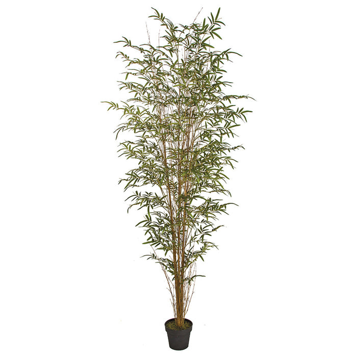 7' Natural Cane Reed Bamboo Silk Palm Tree w/Pot -Green - P191420