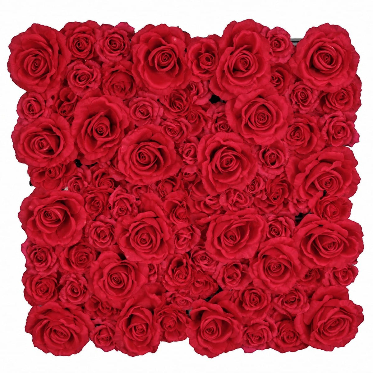 Rose Mat 20