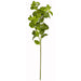 24" Artificial Mint Herb Stem -2 Tone Green (pack of 12) - P193120