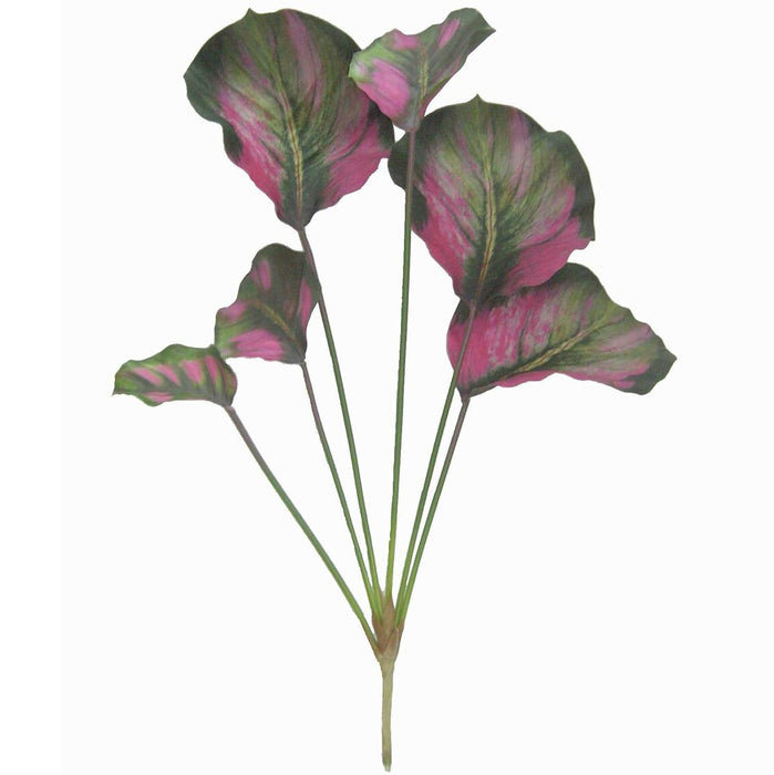 25" Calanthea Silk Plant -Pink/Green (pack of 6) - P193300