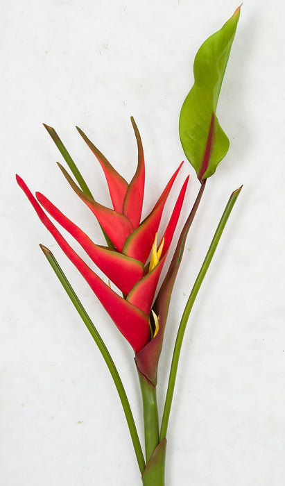 31.5" Artificial Heliconia Flower Stem -Red (pack of 12) - P200210