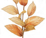 38" Metallic Velvet Artificial Magnolia Leaf Stem -Gold (Pack of 12) - P210005