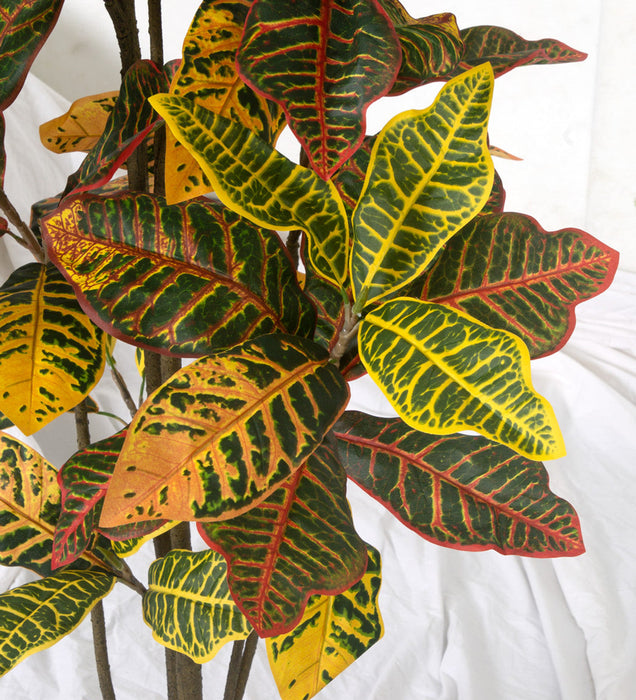 5' Croton Leaf Silk Plant w/Pot -Green/Red - P-220280