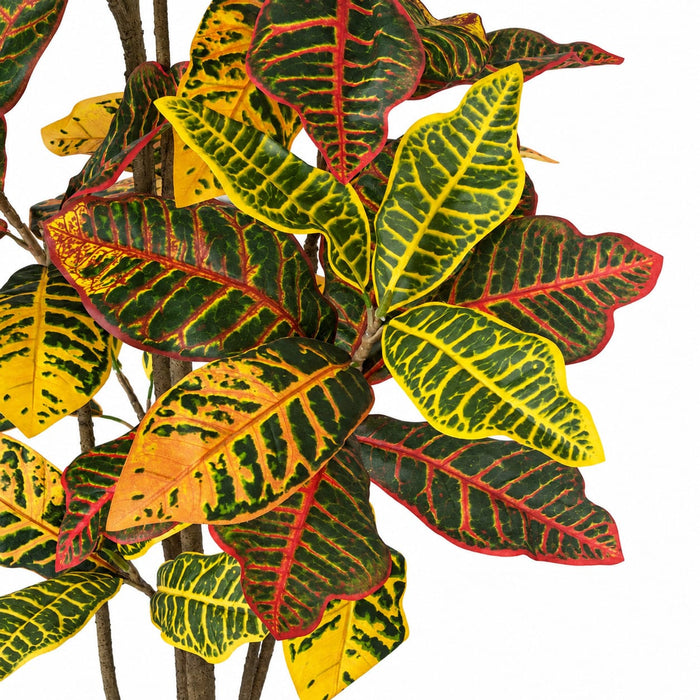 5' Croton Leaf Silk Plant w/Pot -Green/Red - P-220280