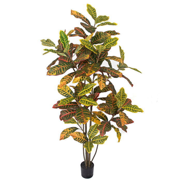 5' Croton Leaf Silk Plant w/Pot -Green/Red - P-220280