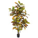 5' Croton Leaf Silk Plant w/Pot -Green/Red - P-220280