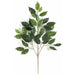 25" Silk Ficus Leaf Stem -2 Tone Green (pack of 24) - P2220