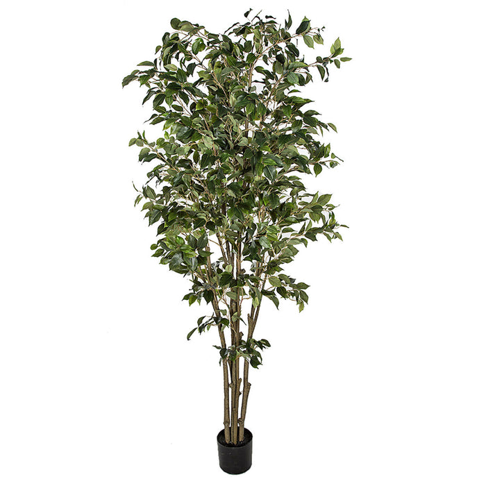 6'6" Deluxe Ficus Silk Tree w/Pot -1,781 Leaves -2 Tone Green - P2291