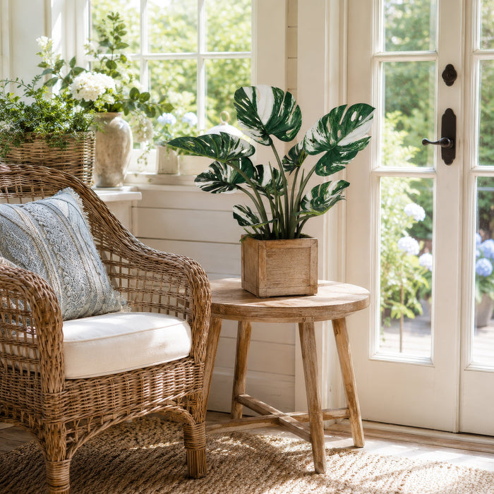 2' Variegated Split Leaf Philodendron Monstera Silk Plant w/Plastic Pot -Green/White (Pack of 2) - P-230000