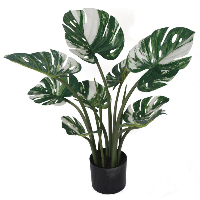 silk split leaf philodendron 2' Variegated Split Leaf Philodendron Monstera Silk Plant w/Plastic Pot -Green/White (Pack of 2)