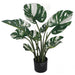 2' Variegated Split Leaf Philodendron Monstera Silk Plant w/Plastic Pot -Green/White (Pack of 2) - P-230000