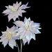 32" Iridescent Silk Poinsettia Flower Stem -White (Pack of 12) - P-240280