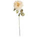 22" Brushed Silk Poinsettia Flower Stem -Cream/Gold (Pack of 12) - P-240314
