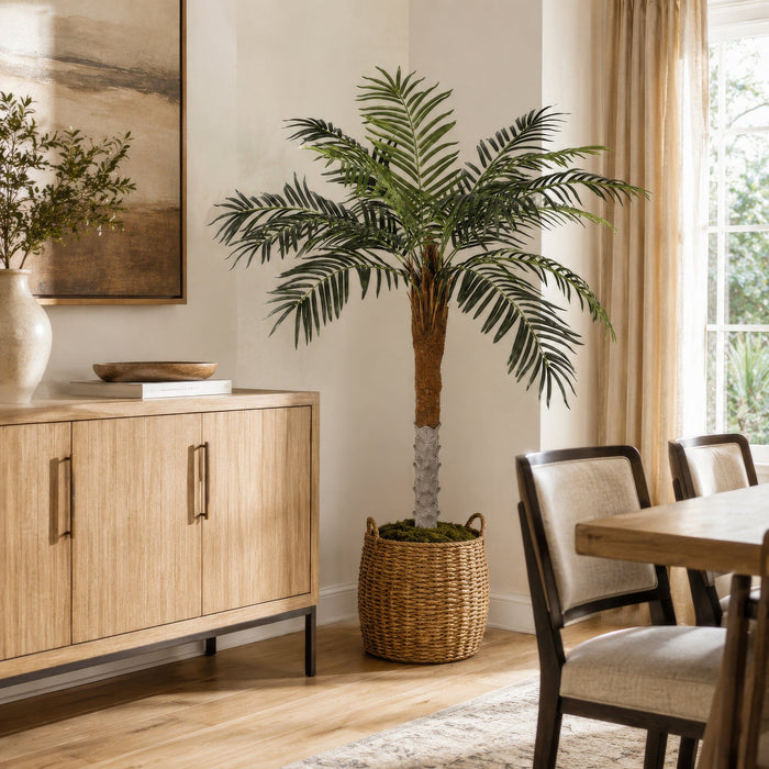 5' Phoenix Silk Palm Tree -Green - P2510