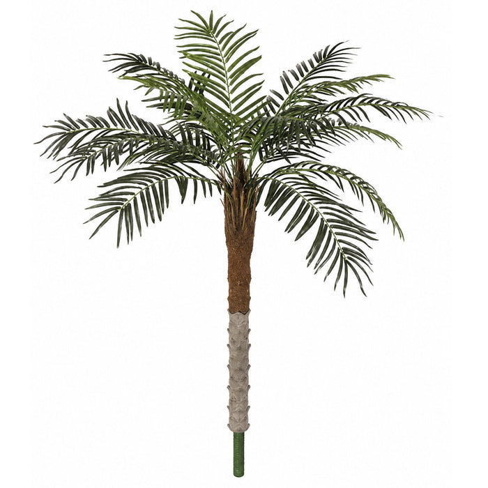 5' Phoenix Silk Palm Tree -Green - P2510