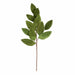 25.5" Velvet Artificial Magnolia Leaf Stem -Green (Pack of 24) - P-260552