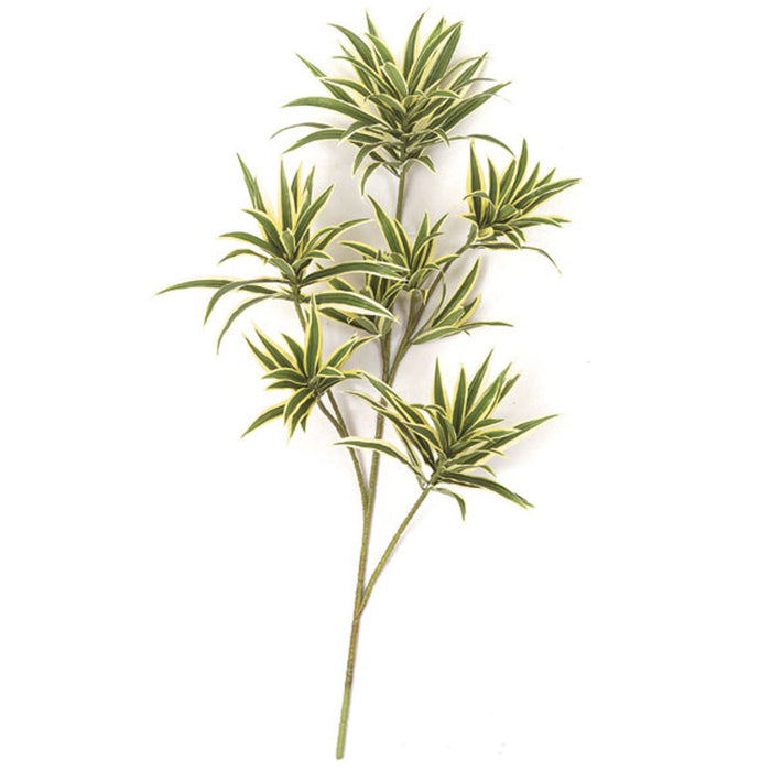 green dracaena reflexa 32" Artificial Dracaena Reflexa Branch Stem -Green/Yellow — Silks Are Forever