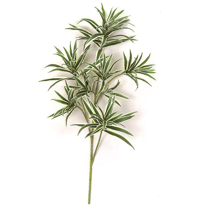 32" Artificial Dracaena Reflexa Branch Stem -Green/White (pack of 6) - P2757