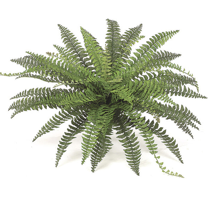 33" Fishtail Silk Fern Plant -Green (pack of 2) - P3581