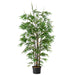 7' Black Bamboo Silk Tree w/Pot -1,735 Leaves -Green - P-3762
