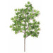 25" Mini Silk Japanese Maple Leaf Stem -2 Tone Green (Pack of 12) - P419G