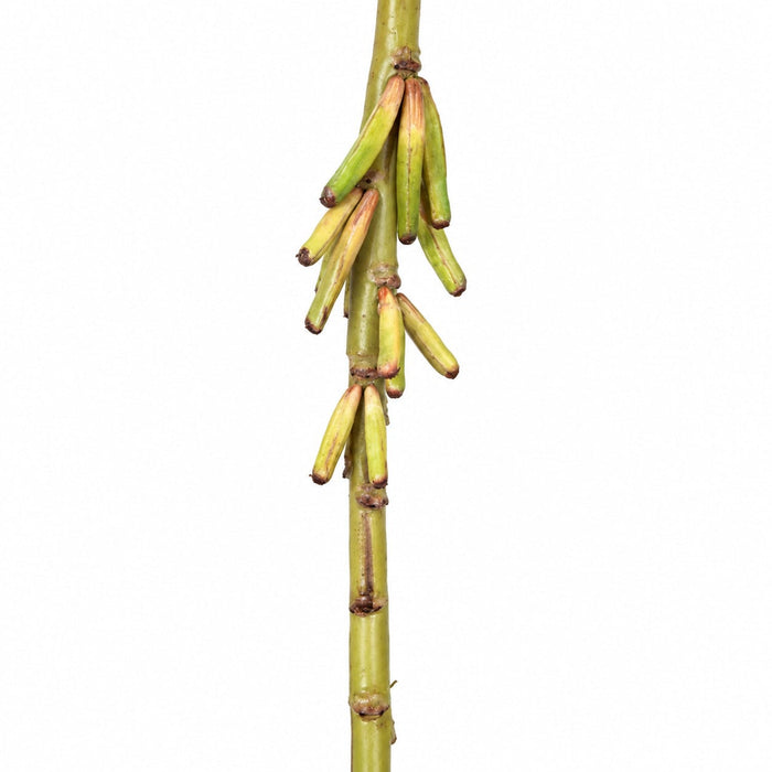 46" Artificial Banana Flower Stem -Red (Pack of 12) - P-4865