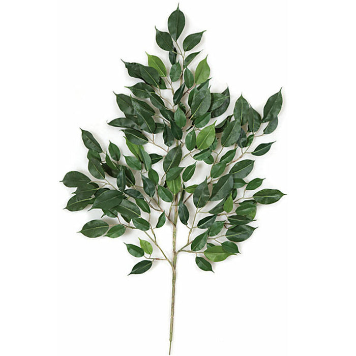 24" Silk Nitida Ficus Leaf Stem -2 Tone Green (Pack of 12) - P502