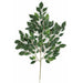 24" Silk Nitida Ficus Leaf Stem -2 Tone Green (Pack of 12) - P502
